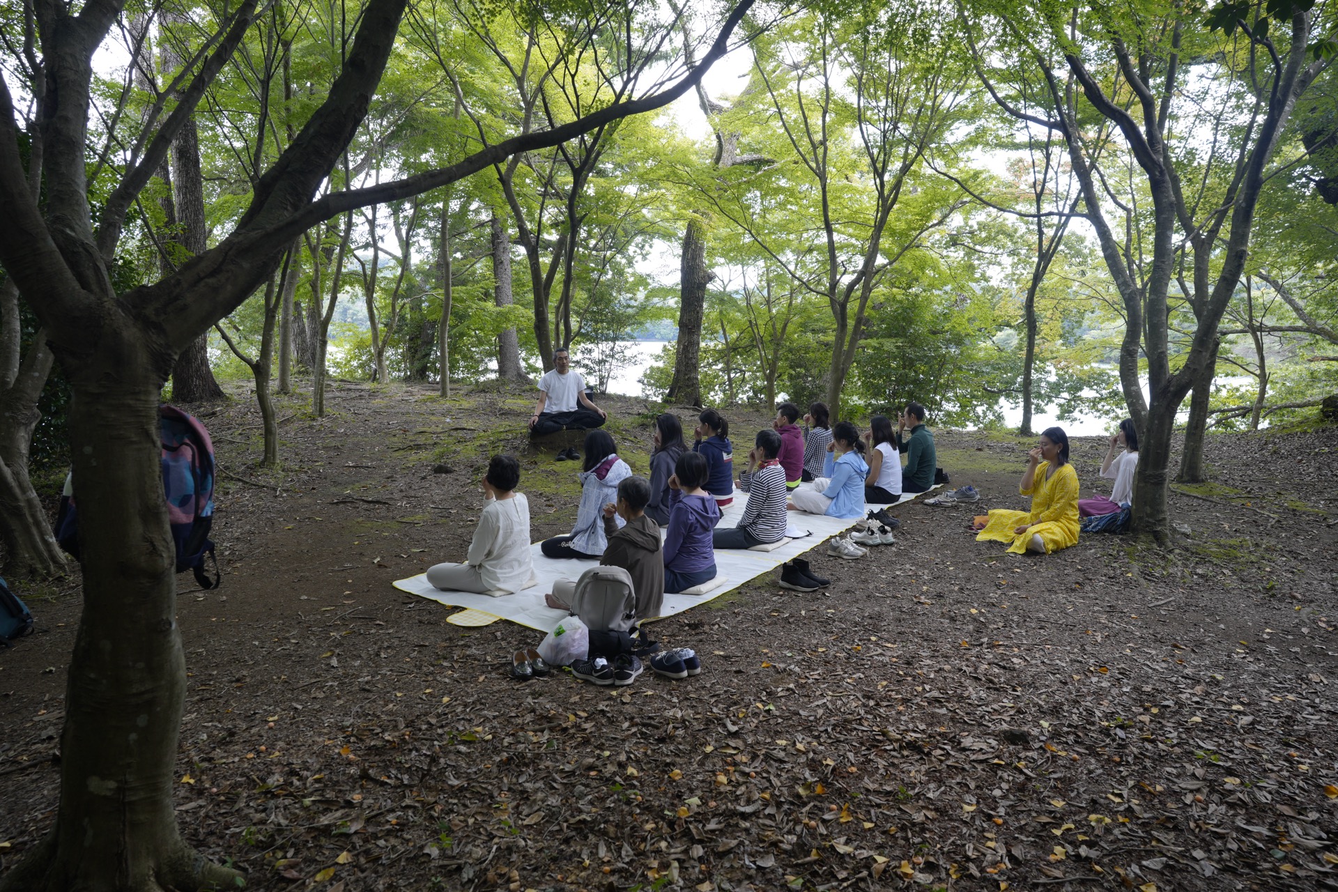 Group seated meditation under the trees by a lake