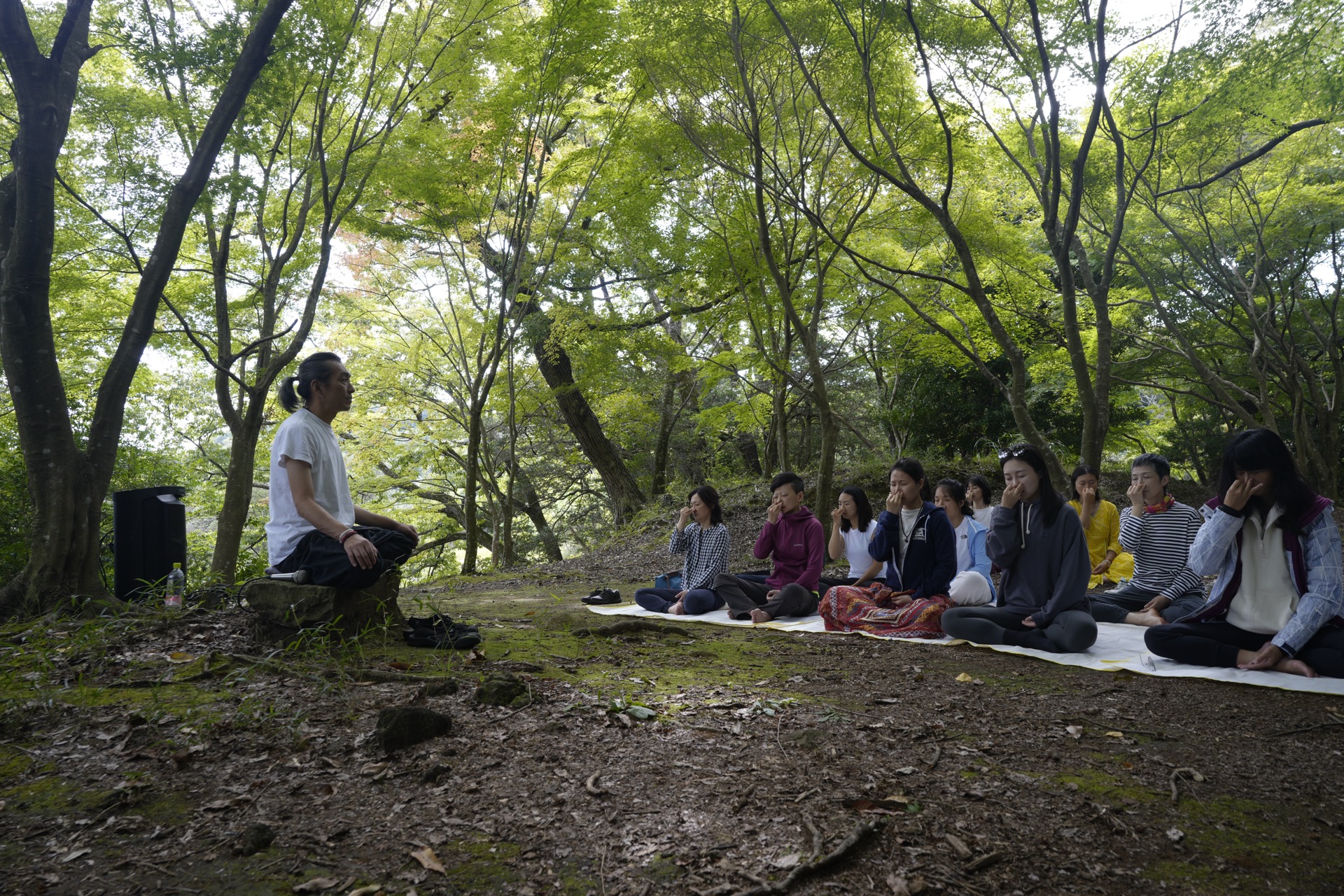 Group meditation in the forest