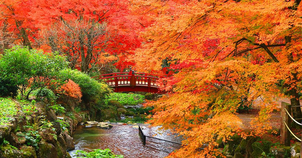 Kinomiya Shrine and Izu autumn foliage