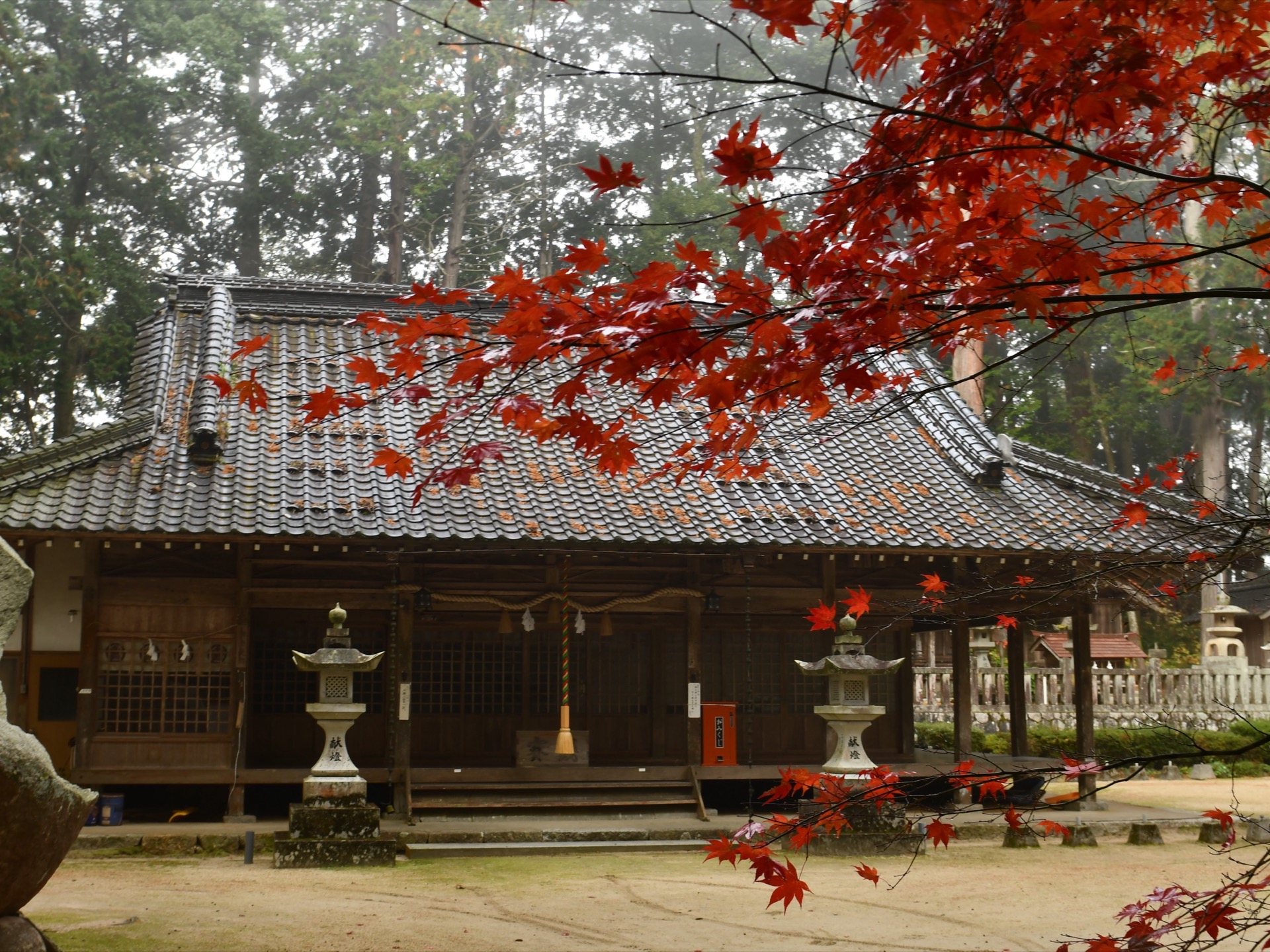 Traditional Japanese temple framed by autumn maple leaves
